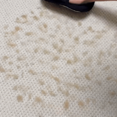 Rękawica Varibee przeciw sierści